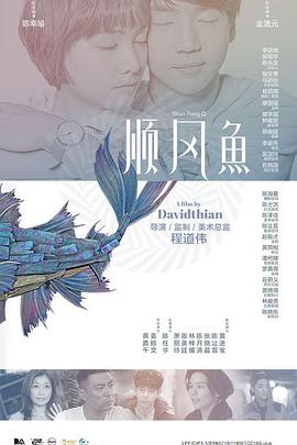 bbbb片