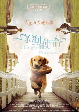 欧美一区二区三区四区五区六区