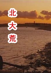 无内女秘书