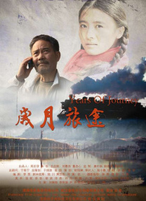 最近最经典中文mv字幕